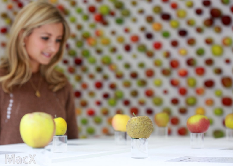 苹果公司支持加州的维修权法案，向消费者提供维修套件、手册等