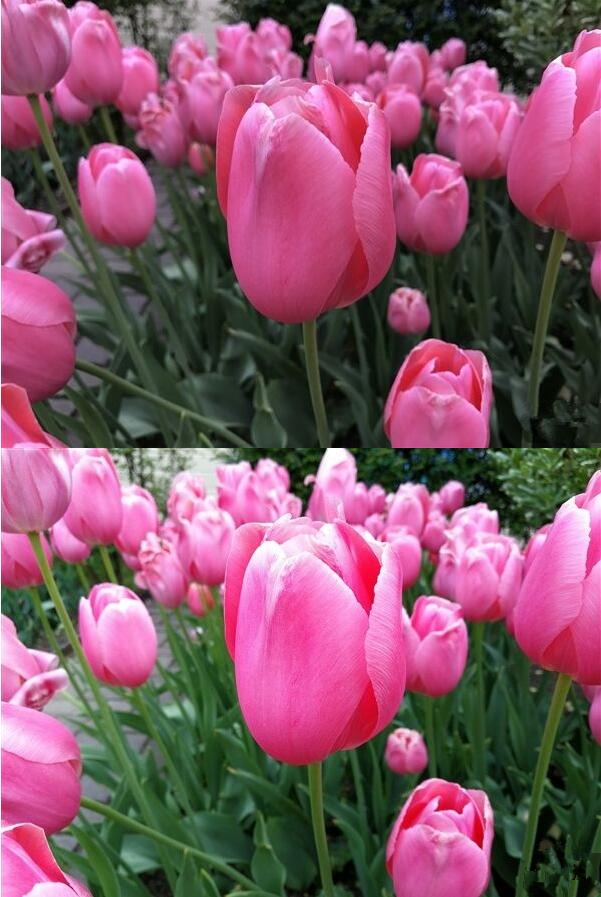 苹果 iOS / iPadOS 18.0 正式版发布，超多全新功能上线