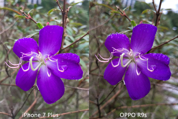 太阳能充电保护壳问世 iPhone续航问题解决了 太阳能充电保护壳问世 iPhone续航问题解决了