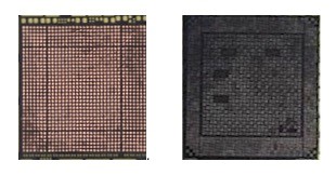 揭秘为何iPhone没有纸质说明书