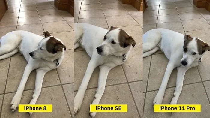 iOS远离精致，与Android成无血缘“亲”兄弟