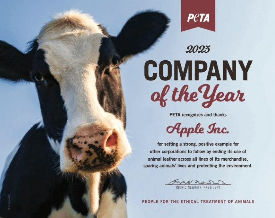 苹果推出新春电视广告:年味十足 诚意满满 苹果推出新春电视广告:年味十足 诚意满满