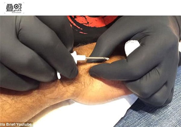 HomePod马上发售 全面了解这款苹果智能音箱