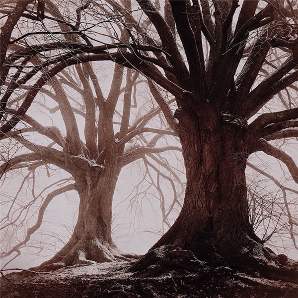 苹果iOS9.3.3开发者预览/公测版Beta3推送