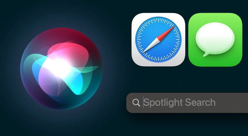 库克午餐开始拍卖 预计成交价超50万美元