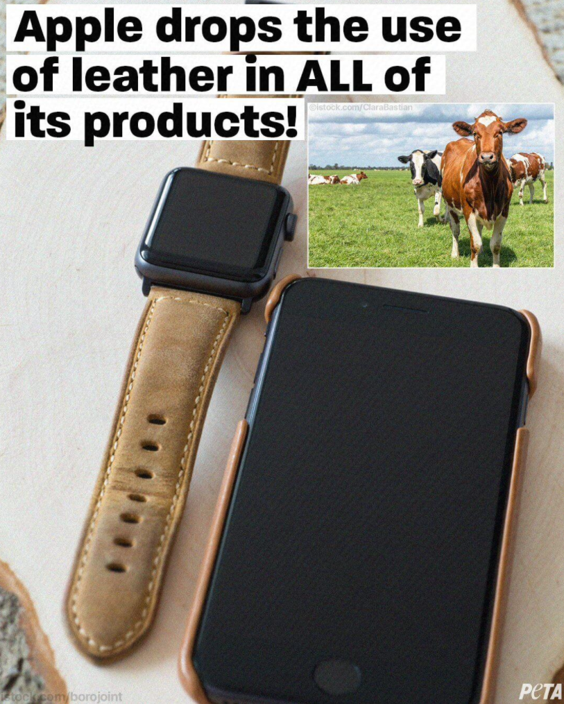 Kanex 为 iPad Pro 发布便携式扩展坞 Kanex 为 iPad Pro 发布便携式扩展坞