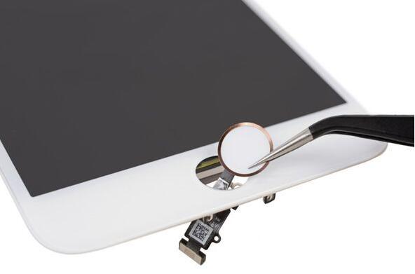  Apple Watch销量神秘  比微软“苏菲”赚得多