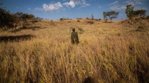 爆料:苹果 iPhone 15 系列将采用混合镜头,拍摄色彩更丰富 爆料:苹果 iPhone 15 系列将采用混合镜头,拍摄色彩更丰富