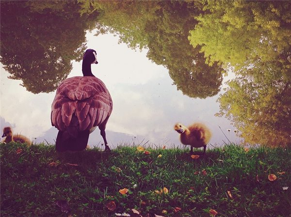 快充技术标准将统一，iPhone 手机USB Type-C 接口何时来？