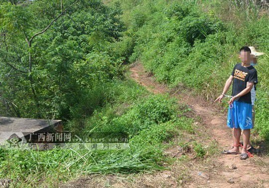 苹果或进军汽车行业 将带来创新和革命 苹果或进军汽车行业 将带来创新和革命
