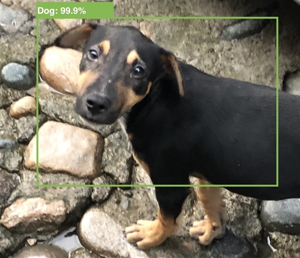 苹果 AirPods 2 需搭配 iOS 12.2 使用,暗示正式版即将到来 苹果 AirPods 2 需搭配 iOS 12.2 使用,暗示正式版即将到来