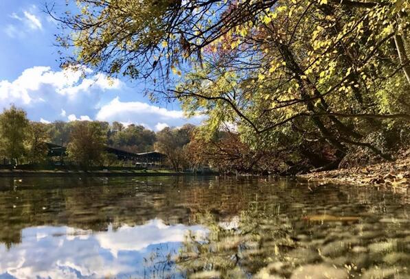 苹果新品发布会：你值得期待的几件事