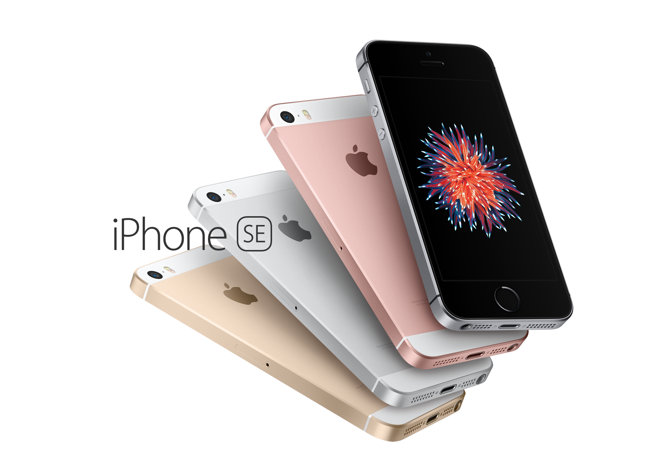 iPhone 7 Plus人像模式上手了吗？感觉怎样