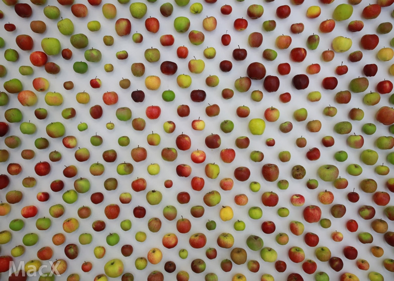 苹果 iPhone 14 发布会 Twitter hashflag 图标 Logo 全新上线 苹果 iPhone 14 发布会 Twitter hashflag 图标 Logo 全新上线