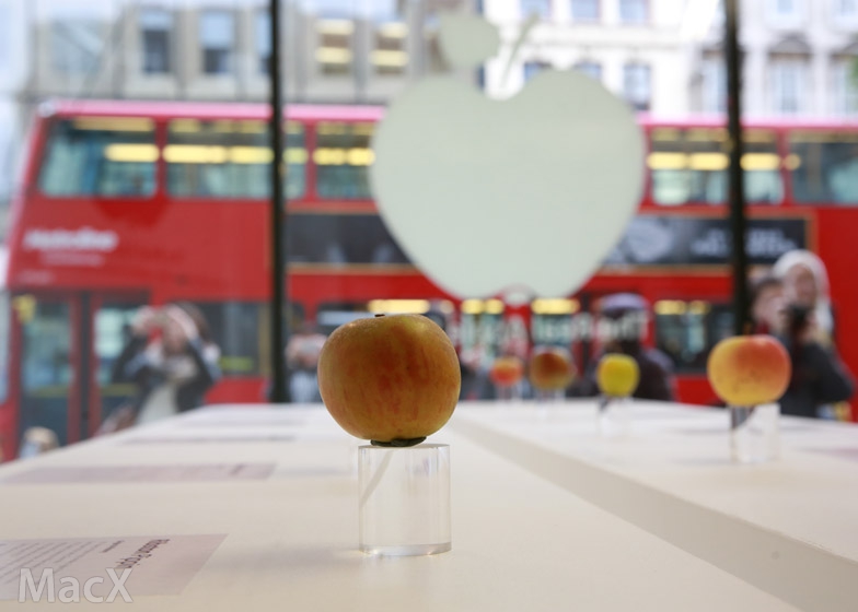 安全机构称iPhone自动上传通话记录,是真的吗? 安全机构称iPhone自动上传通话记录,是真的吗?