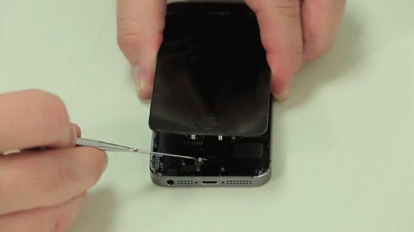 Apple Fitness+ 新增“是时候走路了”课程