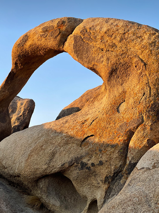 外观定型!iPhone 13 Pro 超清渲染图曝光:新配色亮眼 外观定型!iPhone 13 Pro 超清渲染图曝光:新配色亮眼